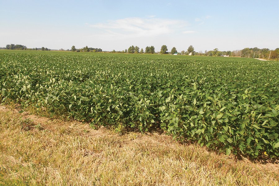 LAND AUCTION - 462+/- ACRES OFFERED IN 7 TRACTS IN GRANT COUNTY, IN